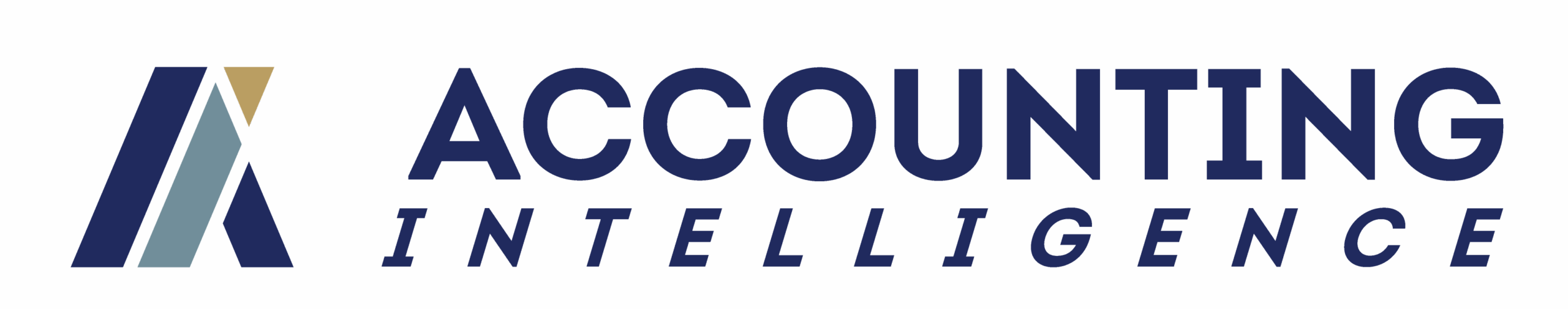 Accounting Intelligence